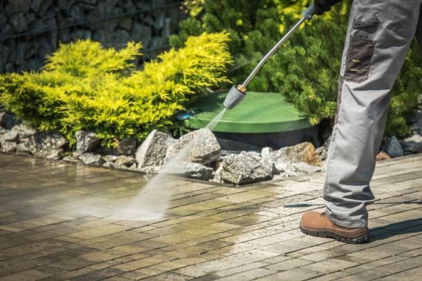 Best Roof Cleaning and Mildew Removal in Manning, IA