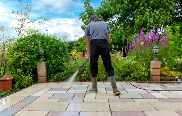 Best Driveway Cleaning and Restoration in Manning, IA
